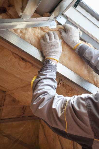 Types of Insulation We Offer in Dane, WI