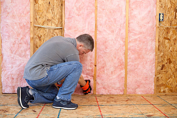 Best Commercial Insulation in Dane, WI