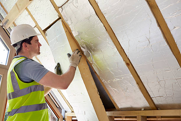 Best Specialized Insulation Services in Dane, WI