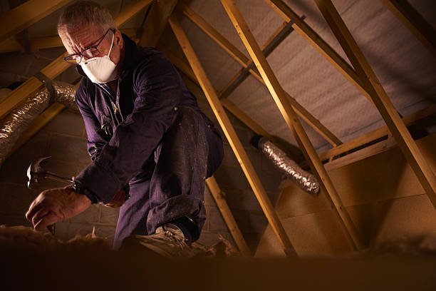 Best Geographic-Specific Insulation Services in Dane, WI